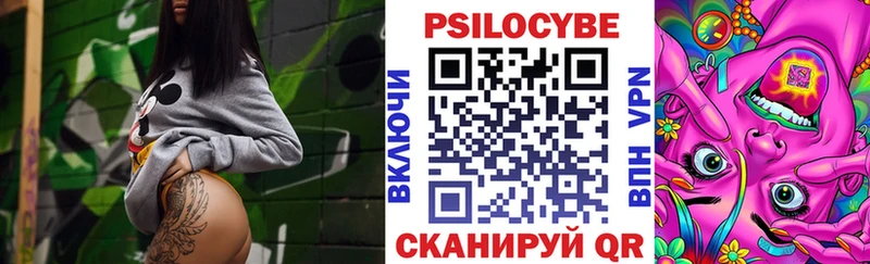 купить закладку ссылка на мегу как зайти Псилоцибиновые грибы GOLDEN TEACHER Вышний Волочёк